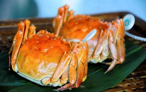 圖片關(guān)鍵詞